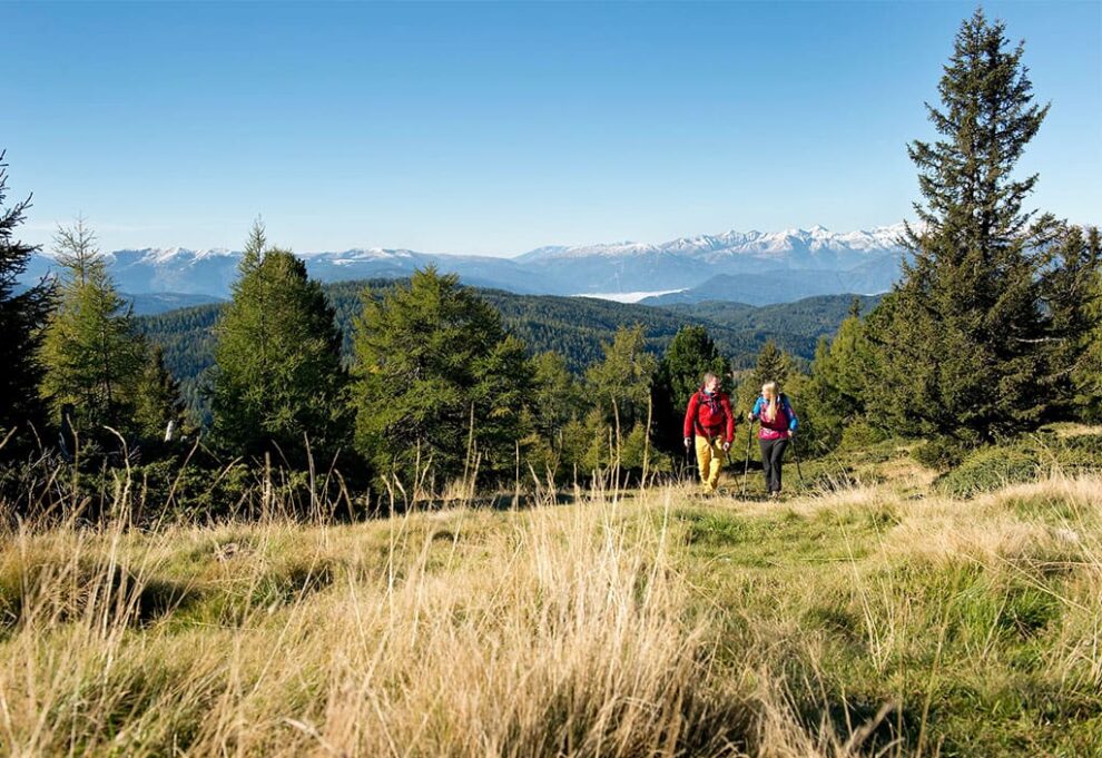 Wandern - Urlaub auf der Alm im Lungau, Salzburg