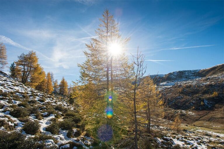 Almurlaub im Salzburger Land, AUSZEIT Almchalet in der Karneralm